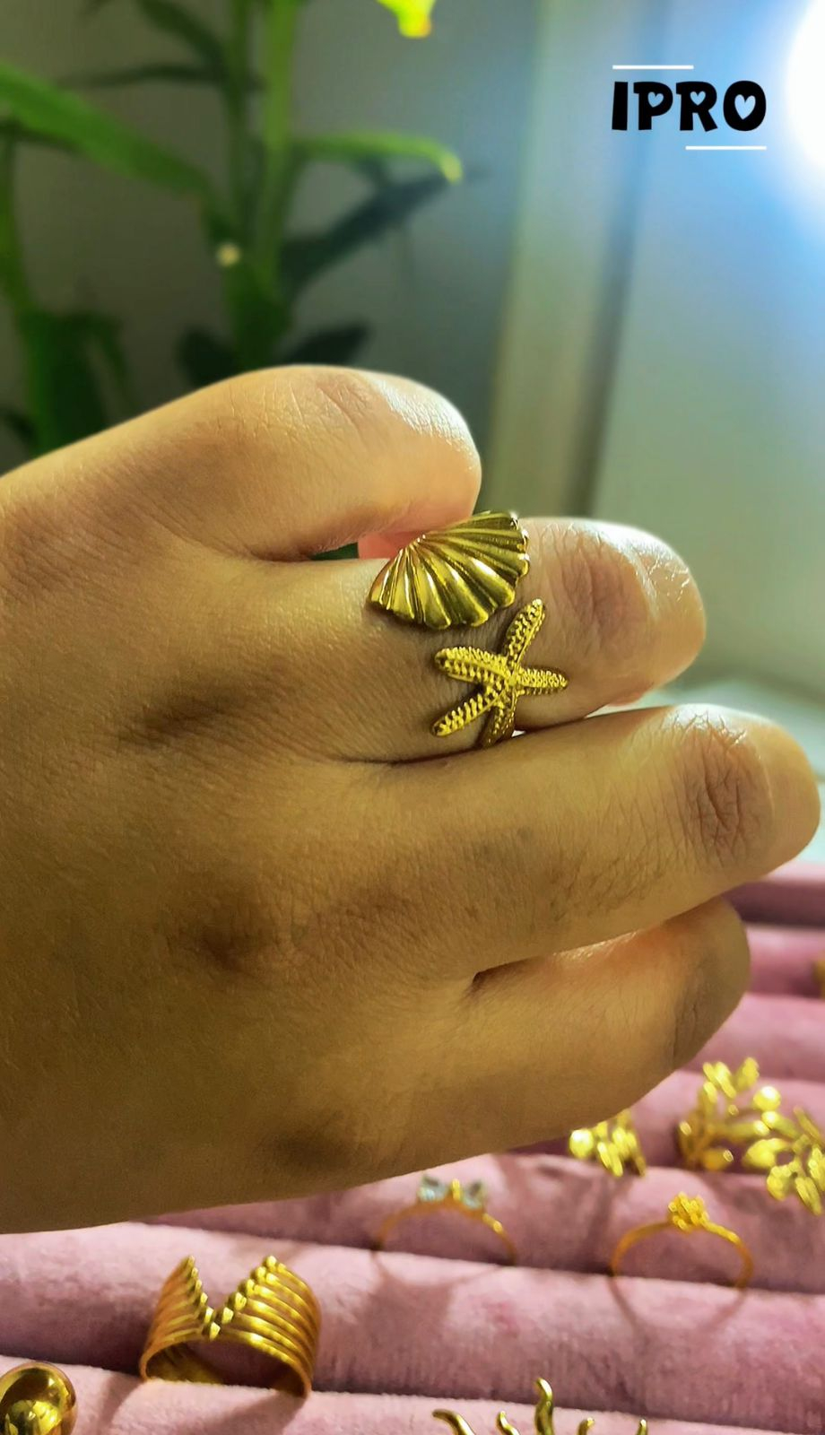 22k Gold Platted High Quality Oyestar